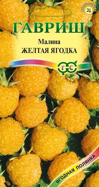Малина Желтая ягодка 10шт Гавриш