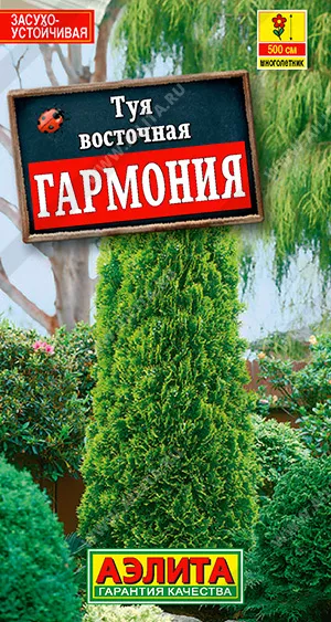 Туя Гармония восточная 8шт Аэлита