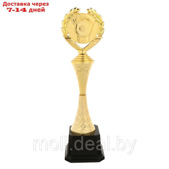 Кубок спортивный 178 C цвет зол, 30,6 × 8 × 7 см - фото 1 - id-p210918703