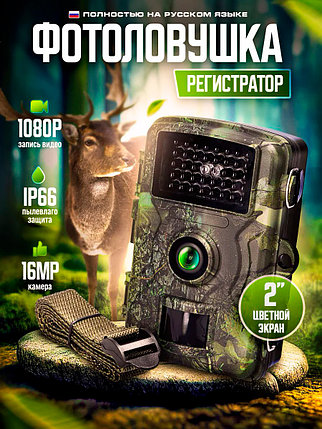 Камера для охоты с ночным видением 16МП (фотоловушка) Hunting Camera, фото 2
