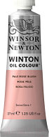 Масляная краска Winsor & Newton Winton / 1414257