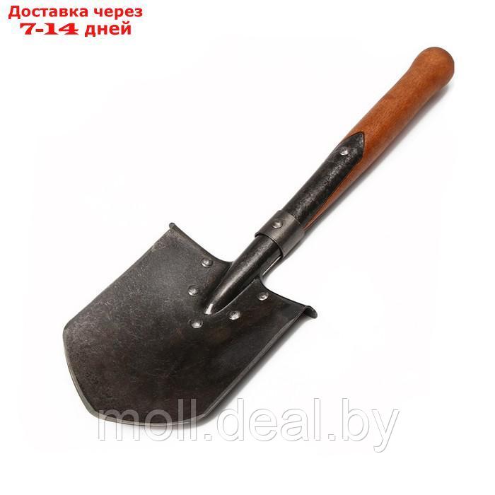 Лопата автомобильная, сапёрная, L = 51 см, деревянный черенок, без ручки