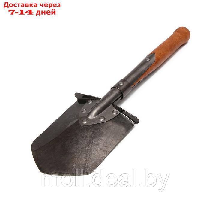 Лопата автомобильная, сапёрная, L = 51 см, деревянный черенок, без ручки - фото 2 - id-p210919412
