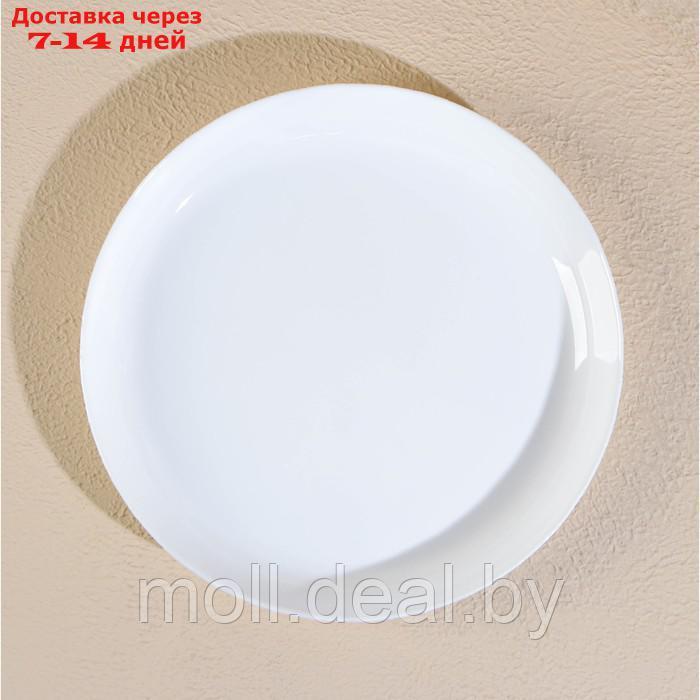 Набор тарелок обеденных Luminarc DIWALI PRECIOUS, d=25 см, стеклокерамика, 6 шт - фото 3 - id-p210922079