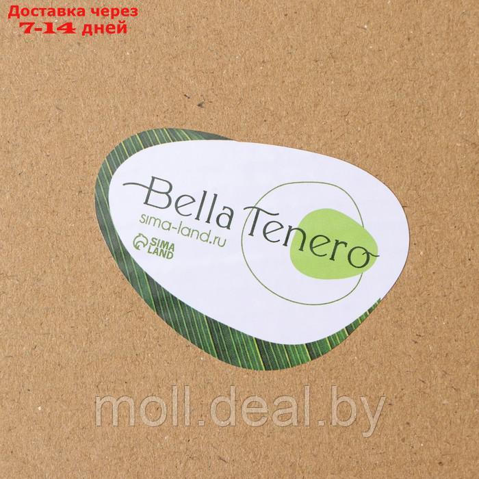Набор банок для сыпучих продуктов на деревянной подставке BellaTenero "Эко", 3 предмета: 3 банки с ложками - фото 7 - id-p210922114