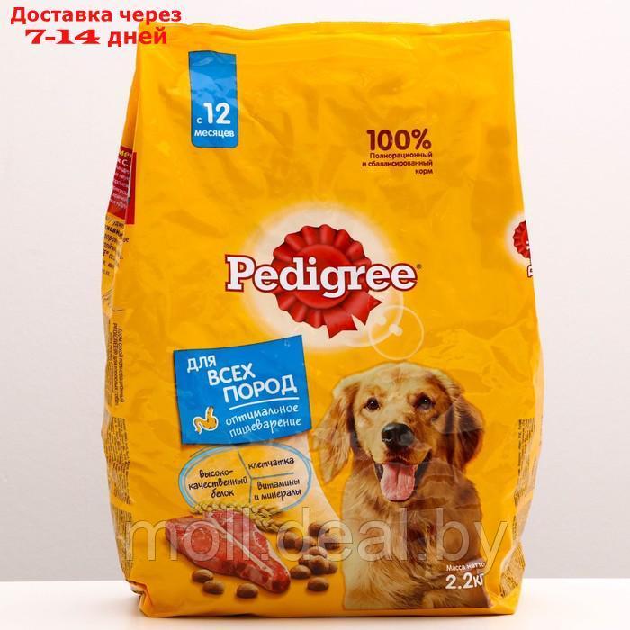 Сухой корм Pedigree для взрослых собак всех пород, говядина, 2,2 кг. - фото 1 - id-p210921096