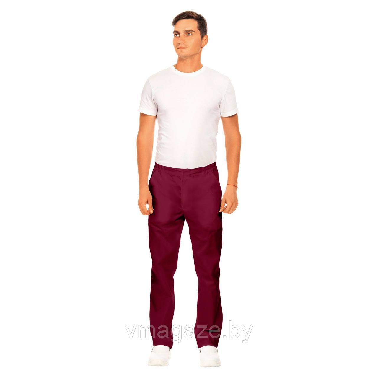 Медицинские брюки, мужские Кларк ( цвет бордовый) - фото 1 - id-p210938766