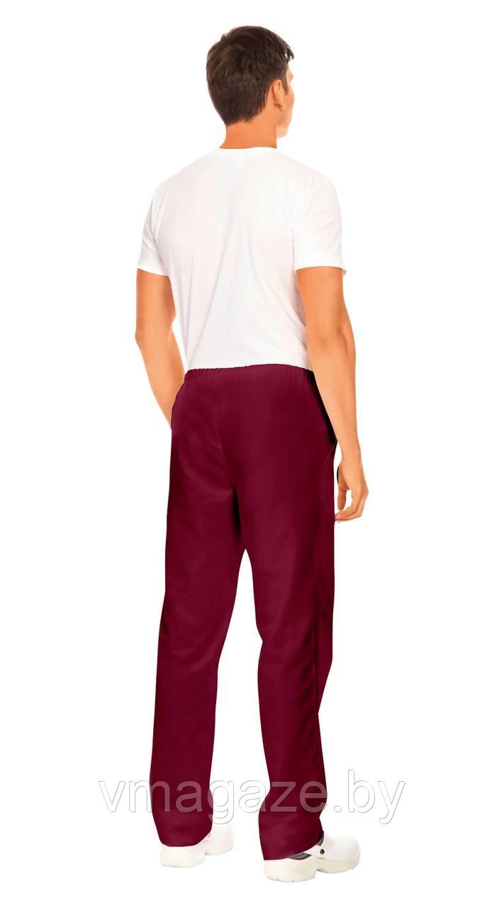 Медицинские брюки, мужские Кларк ( цвет бордовый) - фото 2 - id-p210938766