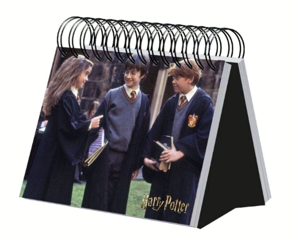 Настольный календарь в футляре Гарри Поттер - фото 3 - id-p200623774