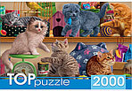 Пазлы Sima-Land 2000 элементов, «Смешные котята в зоомагазине»