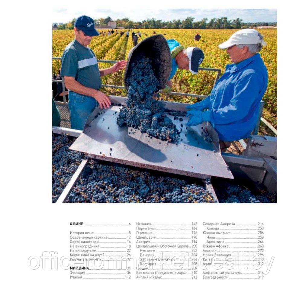 Книга "Мир вина. Вина, сорта, виноградники", Кларк Оз - фото 4 - id-p211042138