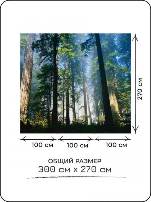 Фотообои лес 300х270 3d в спальню флизелиновые моющиеся обои на стену природа 3д большие - фото 3 - id-p211057998