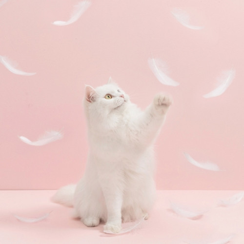 Игрушка-дразнилка с перьями для кошек Furrytail Flamingo Cat Teaser (Розовый) - фото 2 - id-p211063211