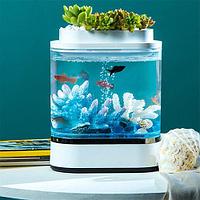 Аквариум Mini Lazy Fish Tank HF-JHYG005