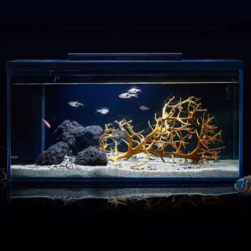 Аквариум PETKIT Origin Intelligent Fish Tank (Версия «Каменная безмятежность») - фото 5 - id-p211063523
