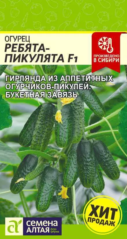 Огурец Ребята-Пикулята F1 5шт Семена Алтая