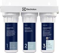 Electrolux AquaModule Carbon 2in1 Prof