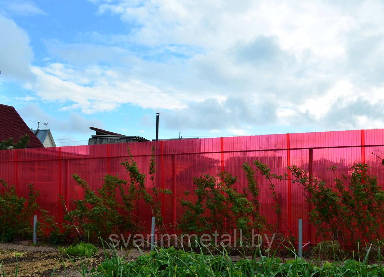 Забор из поликарбоната, красный - фото 10 - id-p211146635