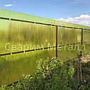 Забор из поликарбоната, красный, фото 7