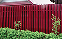 Забор из евроштакетника (металлоштакетник), красный/вишня, фото 2