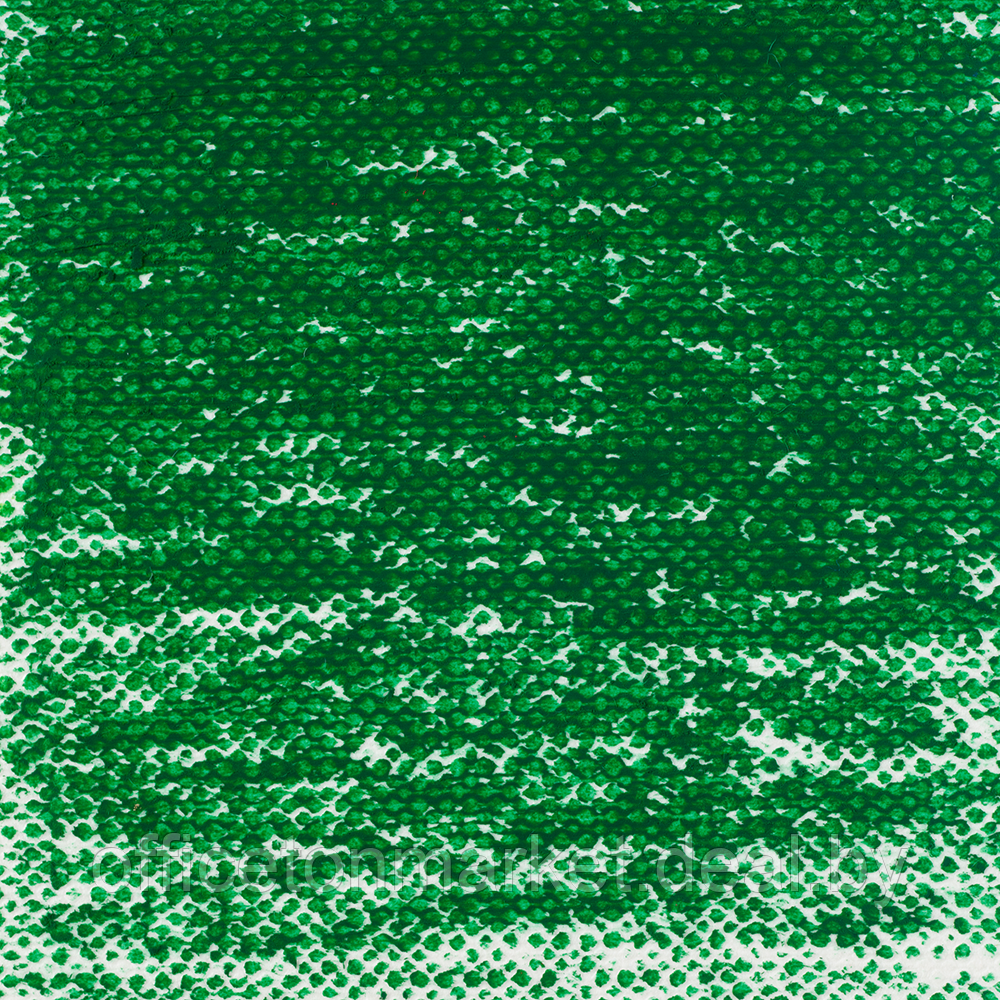Пастель масляная "Van Gogh", 654.5 зеленый еловый - фото 2 - id-p193760411