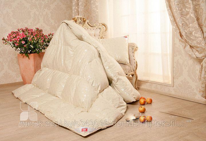 Одеяло 100% пуховое теплое кассетное Камелия бежевый 172х205 - фото 1 - id-p211173025