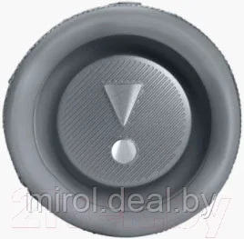 Портативная колонка JBL Flip 6 - фото 4 - id-p211185420