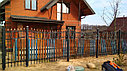 Забор сварной, с элементами ковки (с ковкой), черный, фото 4
