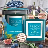 Under The Mystyc Tree Ароматическая свеча AREON Home Perfumes,120г