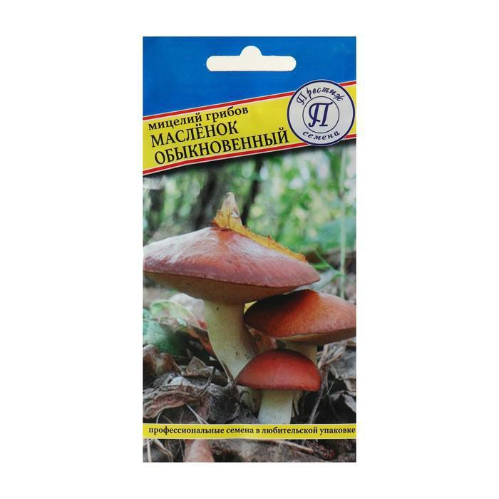 Мицелий грибов Маслёнок обыкновенный, 50 мл - фото 1 - id-p210910218