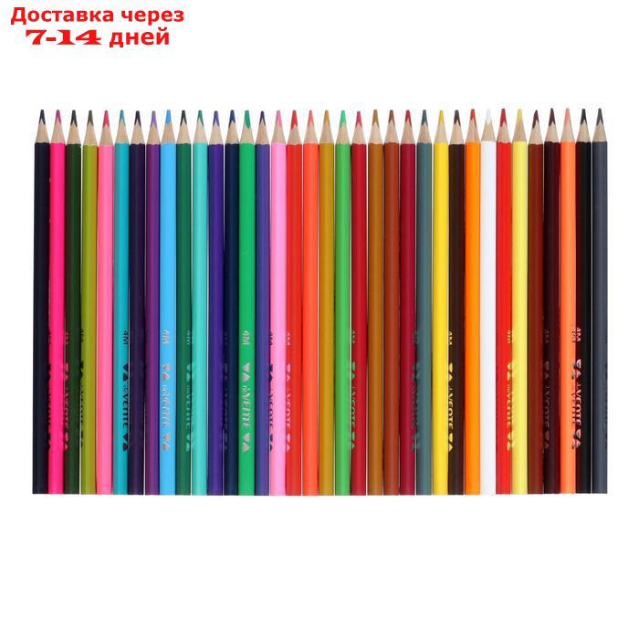 Карандаши 36 цветов, deVENTE Trio Mega Soft, трехгранный корпус, супер мягкие, 4M, грифель d-3мм - фото 4 - id-p211175868