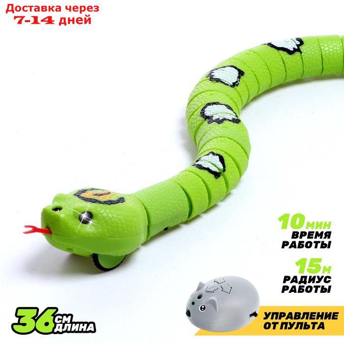 Змея радиоуправляемая "Джунгли", работает от аккумулятора, цвет зеленый
