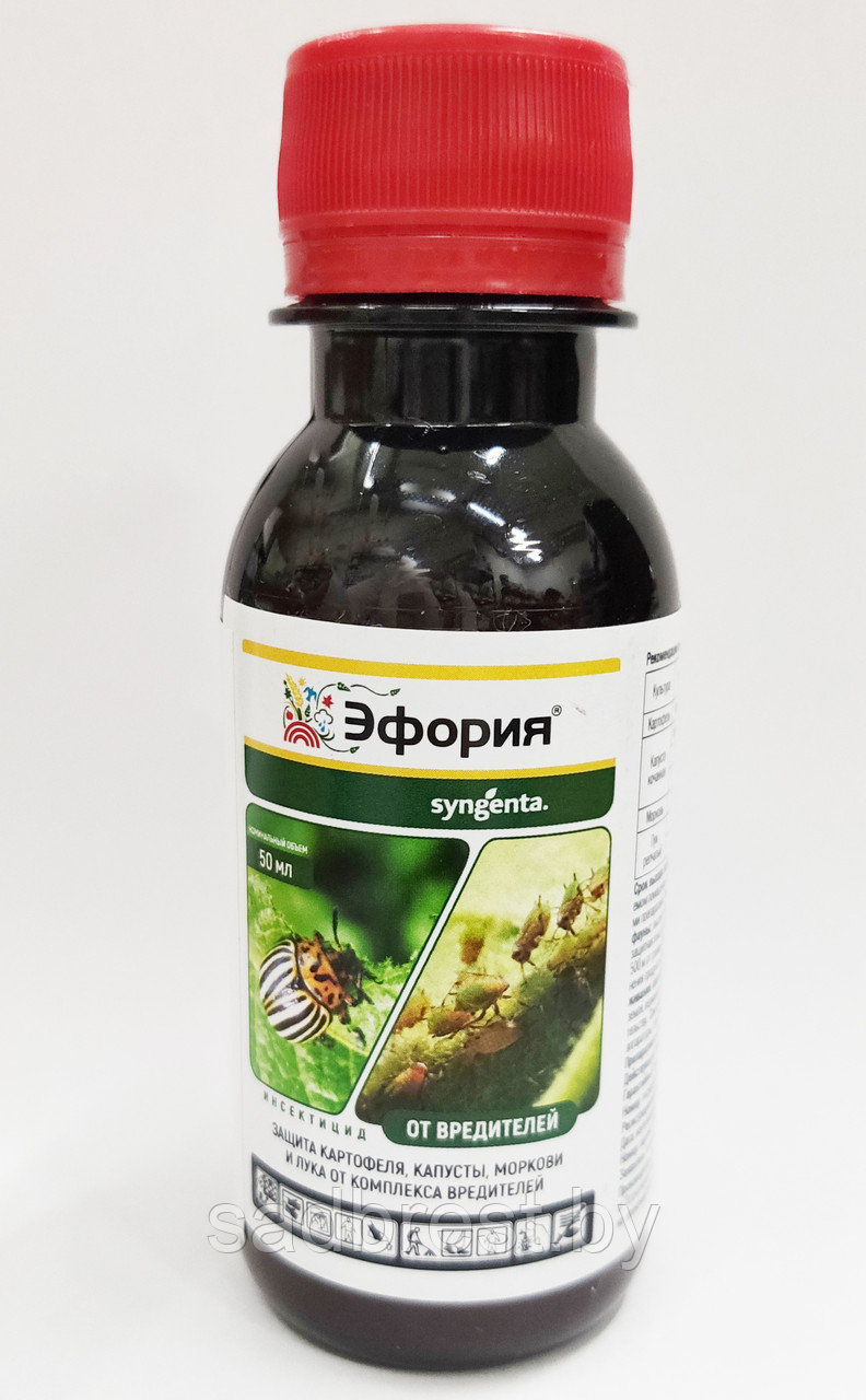 Инсектоакарицид Эфория (Энжио) Сингента Syngenta, 50 мл