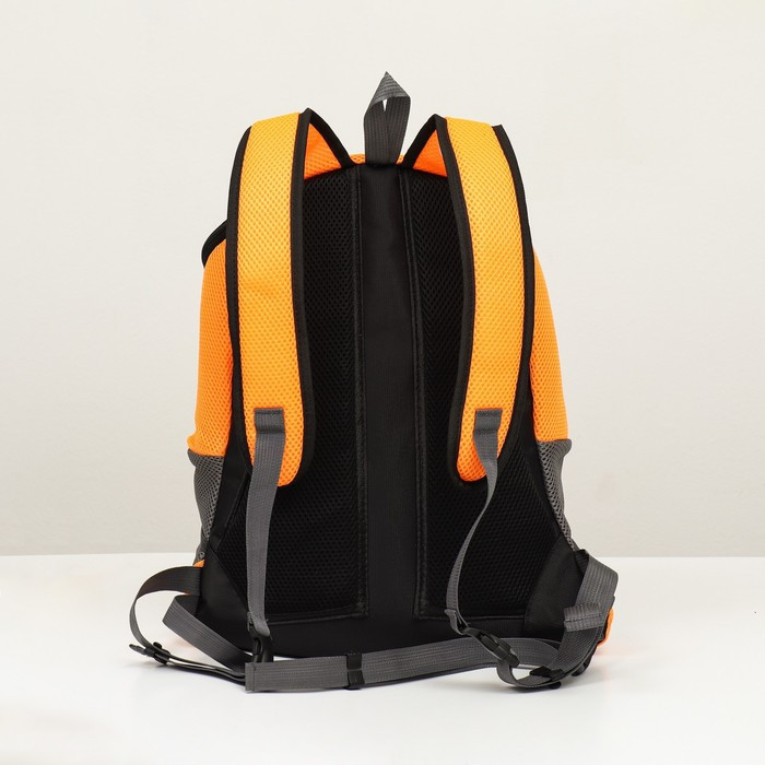 Рюкзак-переноска для животных, максимальный вес 16 кг, 36 х 21 х 45 см, оранжевый - фото 3 - id-p211270815