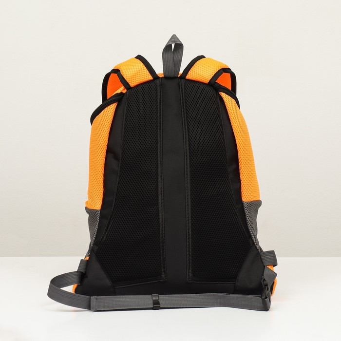 Рюкзак-переноска для животных, максимальный вес 16 кг, 36 х 21 х 45 см, оранжевый - фото 4 - id-p211270815