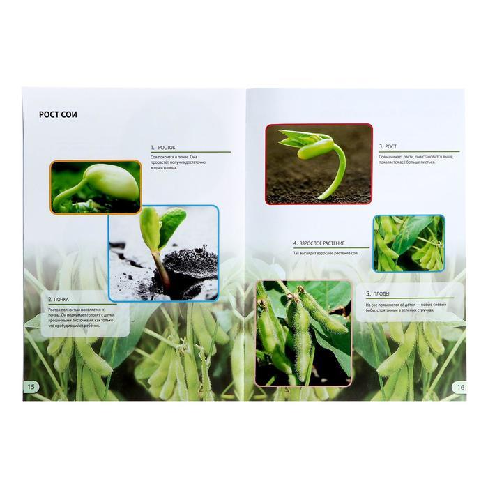 Набор для опытов «Наука о растениях», 16 опытов - фото 3 - id-p211273327