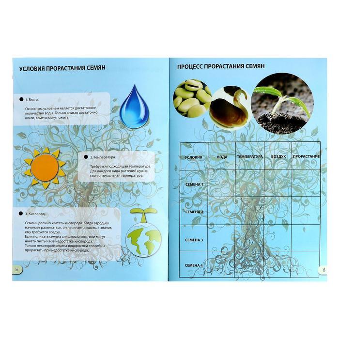Набор для опытов «Наука о растениях», 16 опытов - фото 4 - id-p211273327