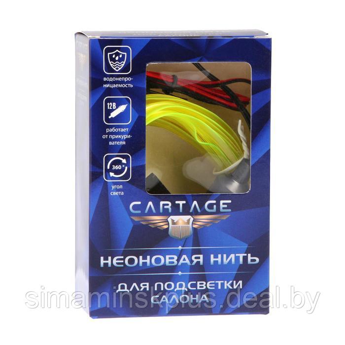 Неоновая нить Cartage для подсветки салона, адаптер питания 12 В, 5 м, лимонный - фото 5 - id-p211270701