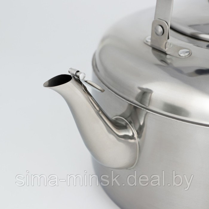 Чайник из нержавеющей стали со свистком, 6 л, цвет хромированный - фото 4 - id-p211278078