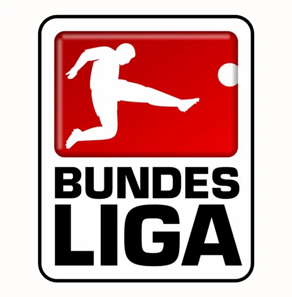 Футбольный мяч 5 Derbystar Bundesliga 2022-23 Brilliant APS - фото 2 - id-p210928202