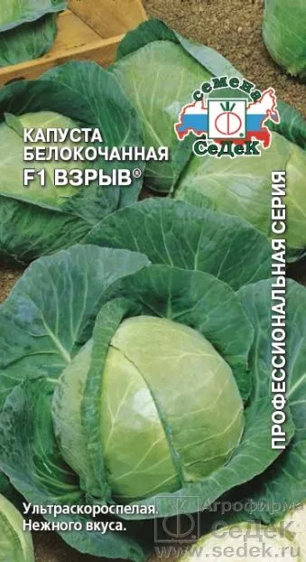 Капуста б/к Взрыв F1 0,1г Седек