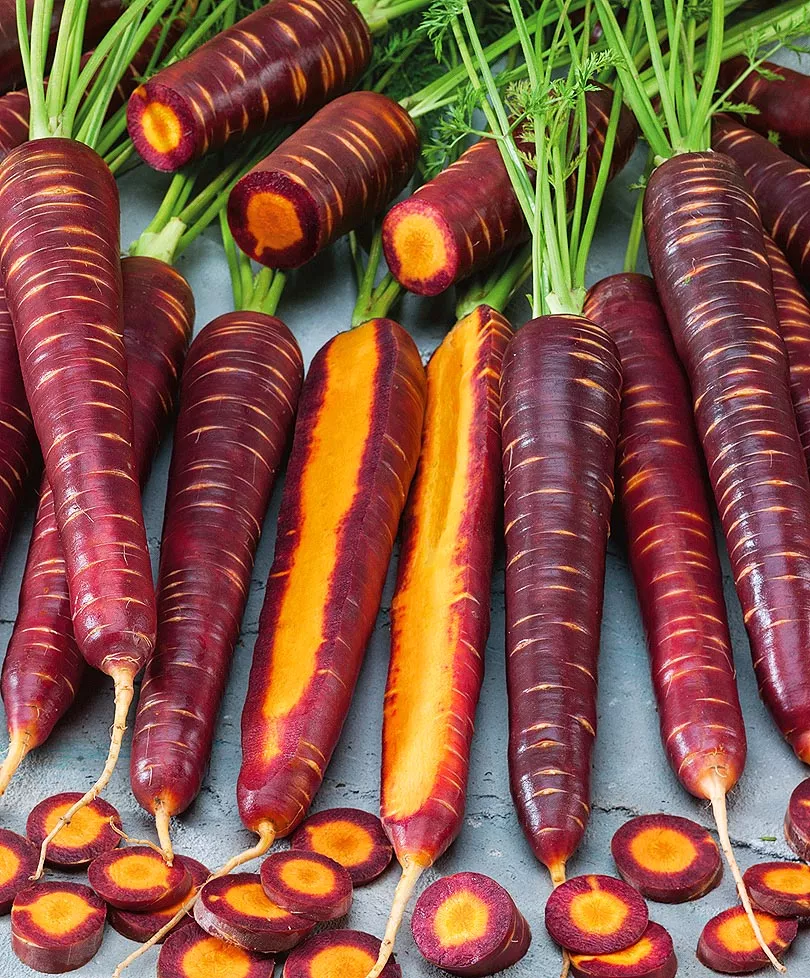Морковь Чаровница шоколадная 0,1г Седек