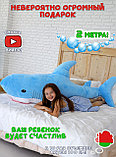 Мягкая игрушка Акула 200 см Голубая, фото 2