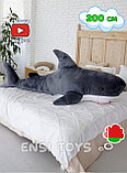 Мягкая игрушка Акула 200 см Темно-Серая, фото 4