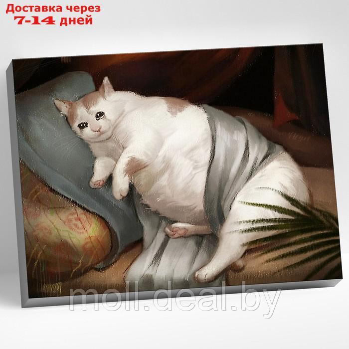 Картина по номерам 40 × 50 см "Толстый котик" 23 цвета - фото 1 - id-p211323747