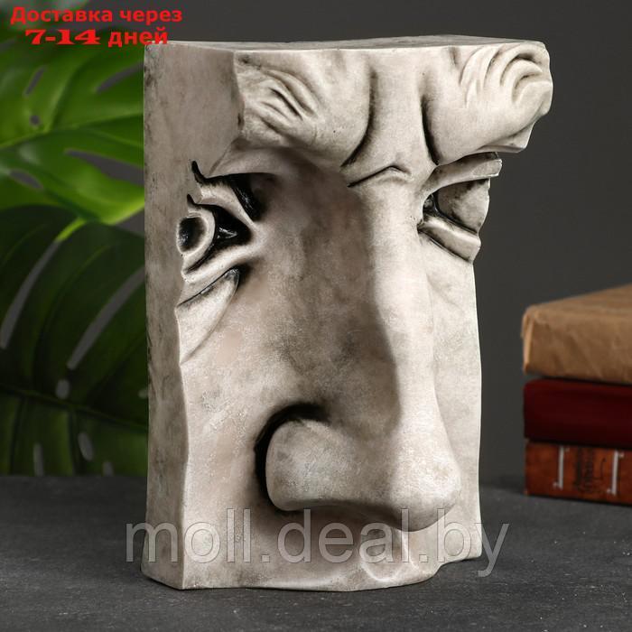 Статуэтка "Нос Давида" камень, 28х18х14см - фото 1 - id-p211315942