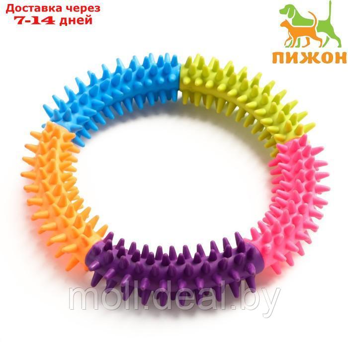 Игрушка жевательная для собак Кусочек счастья, 15 см, разноцветная - фото 1 - id-p211313905