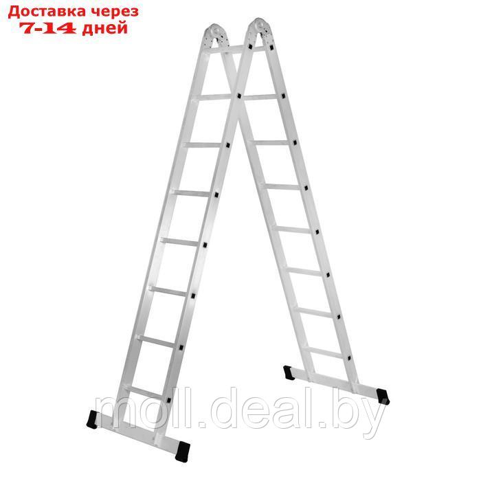 Лестница , двухсекционная, шарнирная, алюминиевая, 8 ступеней - фото 1 - id-p211318285