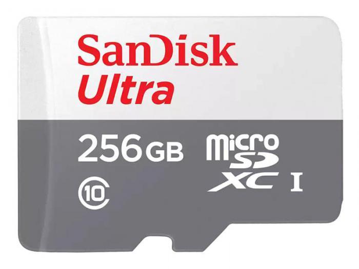 256Gb - SanDisk Ultra Micro Secure Digital XC C10 UHS-1 SDSQUNR-256G-GN3MN (Оригинальная!) - фото 1 - id-p210113341