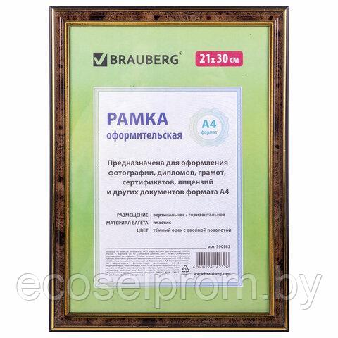 Рамка 21*30см, пластик, багет 20мм, BRAUBERG, цвет темный орех с двойной позолотой, стекло - фото 1 - id-p211380367